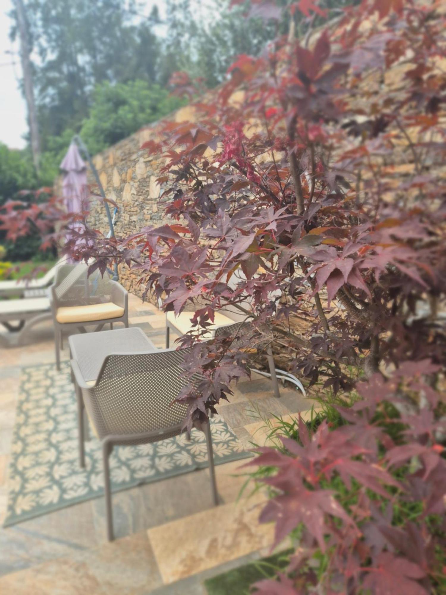 Rez De Villa Avec Piscine Privee, Wifi, Jardin Cloture Penta di Casinca Buitenkant foto